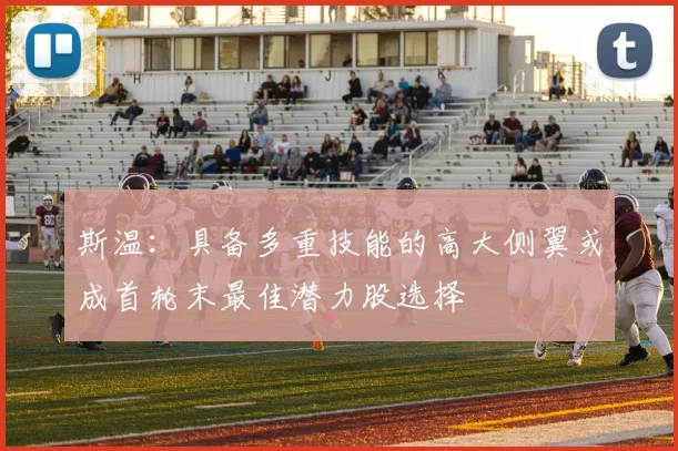 斯温：具备多重技能的高大侧翼或成首轮末最佳潜力股选择