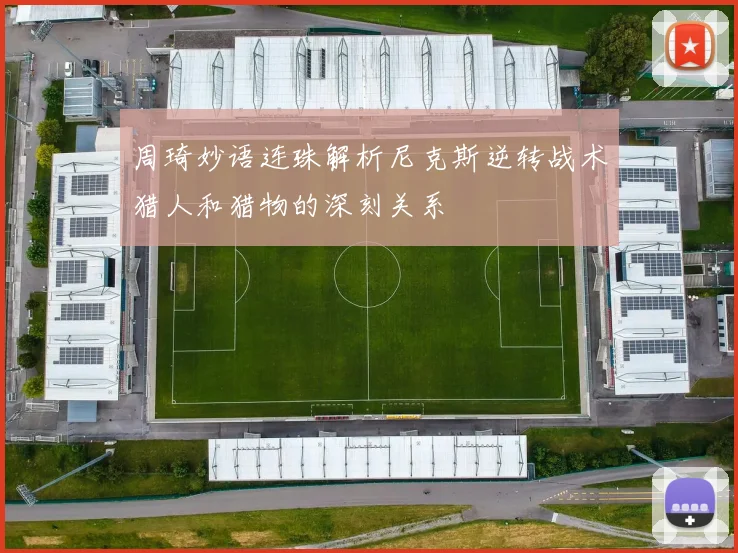 周琦妙语连珠解析尼克斯逆转战术猎人和猎物的深刻关系